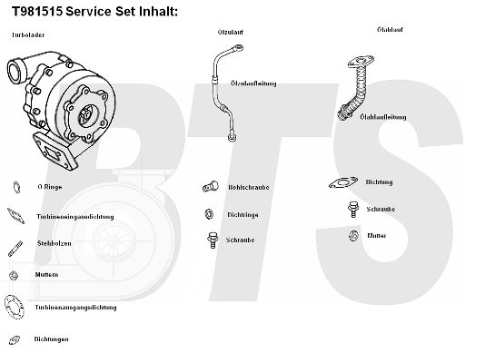 BTS TURBO Компрессор, наддув T981515